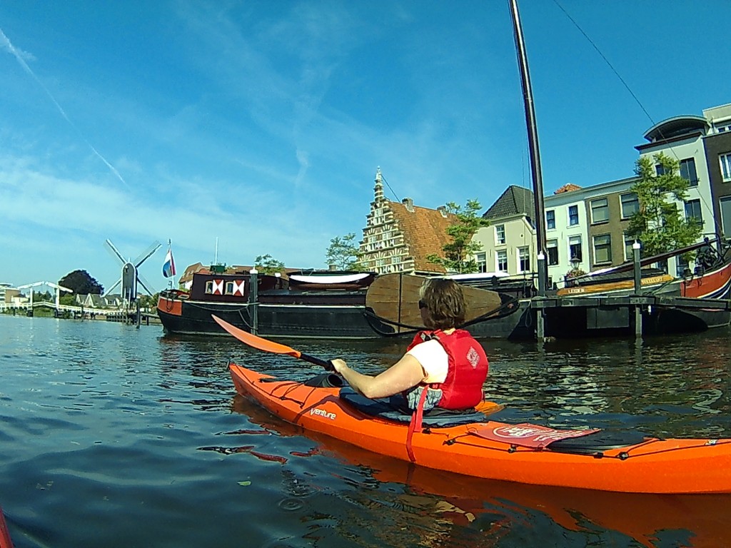 Zeebaard-Leiden_1